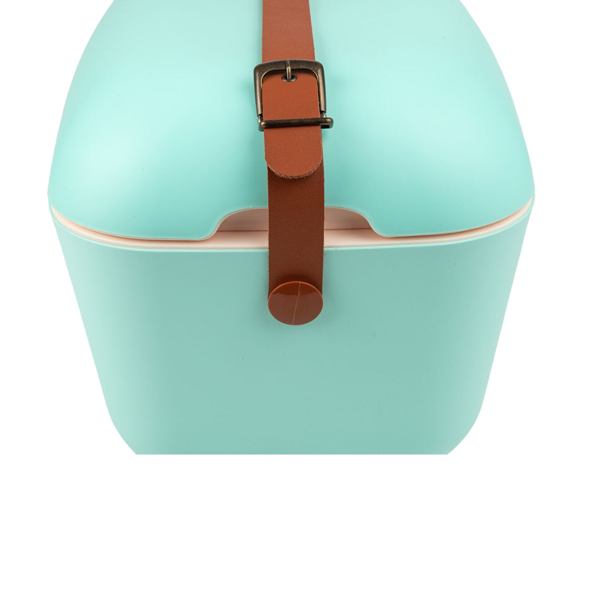 12 Liters Classic Cooler Box Cyan /Baby Rose - Polarbox